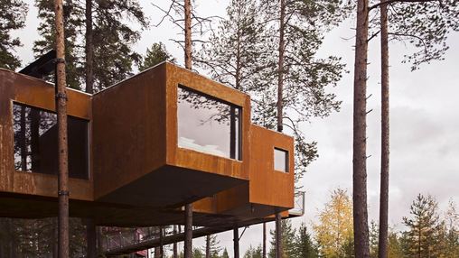 Dragonfly Treehotel Norrbottens län in Sweden Dragonfly Treehotel Norrbottens län in Sweden